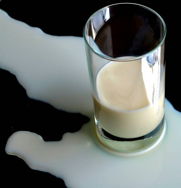 verre de lait nutrition