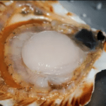 coquille-saint-jacques-chrononutrition-isabelle-bara-paris
